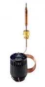 Danfoss Termostatelement Ravk 25-65 Gr. Danfoss Termostatelement Ravk 25-65 Gr.