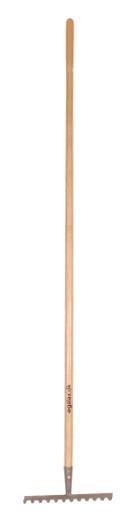 Galax rive, 12-tands/30,5 cm Galax rive, 12-tands/30,5 cm