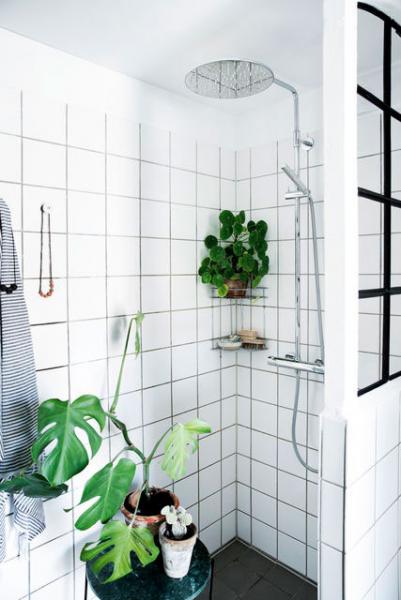 Damixa Eliza komplet brusesystem Ø300 - Krom Damixa Eliza komplet brusesystem Ø300 - Krom